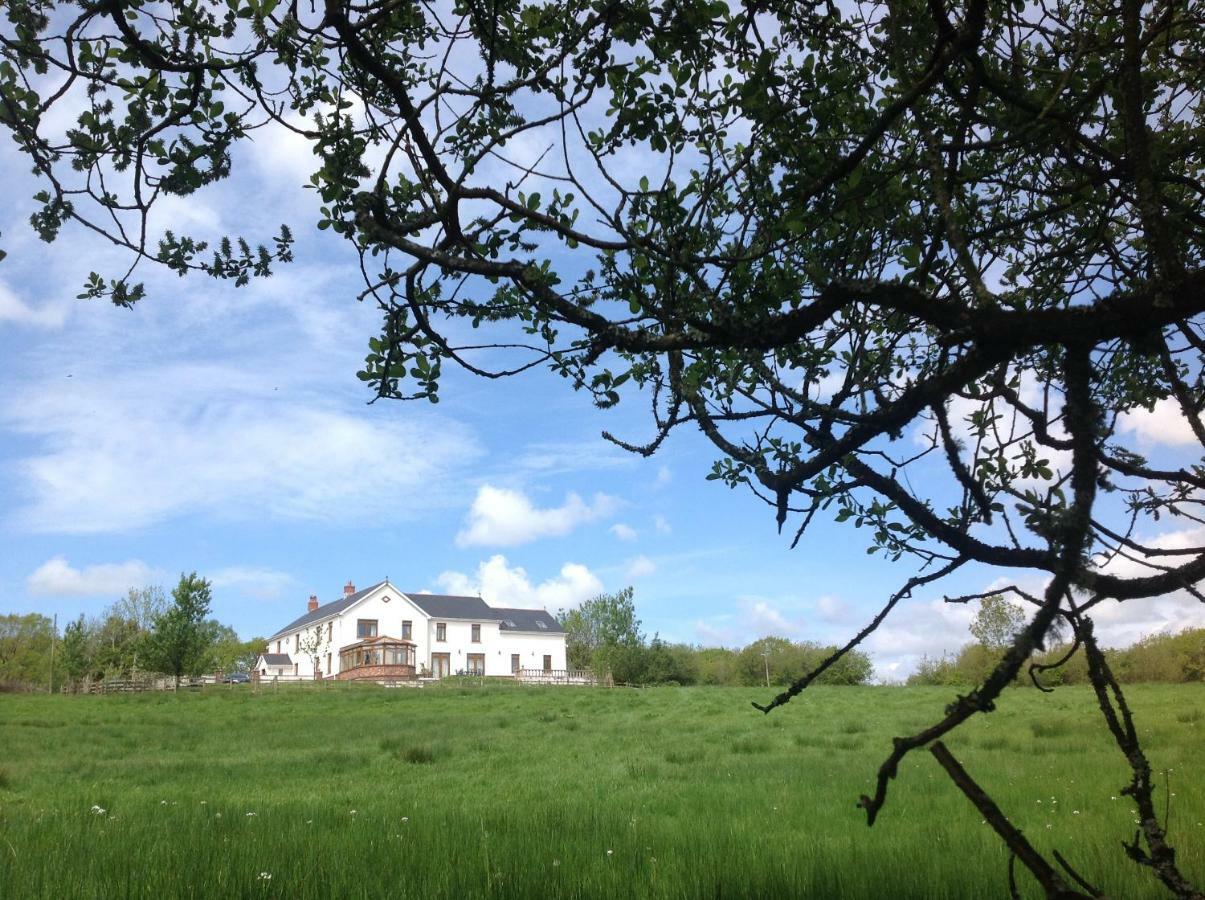 Appartamento Penddaulwyn Uchaf Farm # Carmarthenshire Nantgaredig Esterno foto