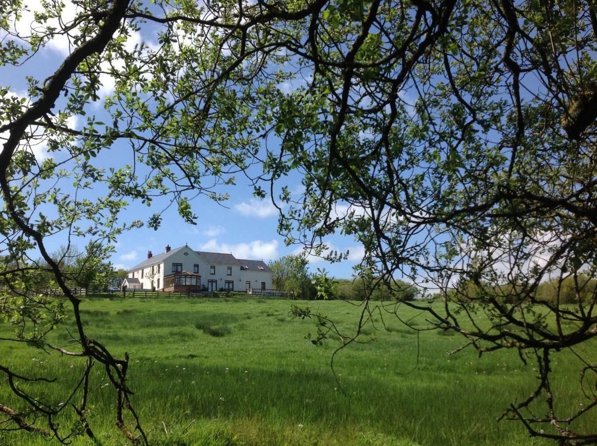 Appartamento Penddaulwyn Uchaf Farm # Carmarthenshire Nantgaredig Esterno foto