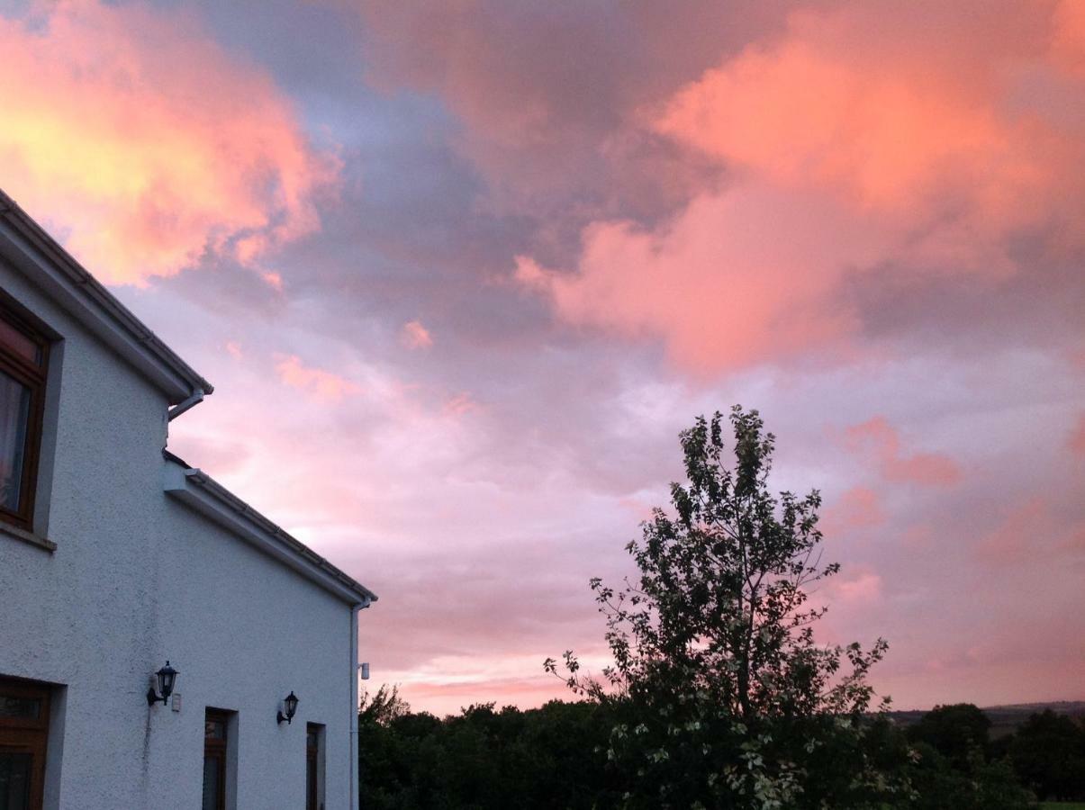 Appartamento Penddaulwyn Uchaf Farm # Carmarthenshire Nantgaredig Esterno foto