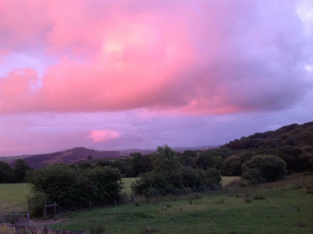 Appartamento Penddaulwyn Uchaf Farm # Carmarthenshire Nantgaredig Esterno foto