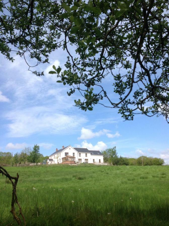 Appartamento Penddaulwyn Uchaf Farm # Carmarthenshire Nantgaredig Esterno foto